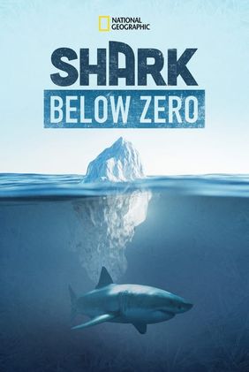 Shark Below Zero